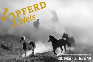 EXCA Extreme Cowboy Race Austria Blog Pferd Wels